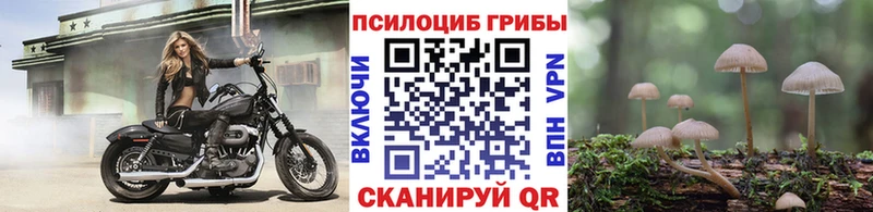 закладка  Тюкалинск  Галлюциногенные грибы мухоморы 